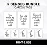 5 sense card and tags bundle